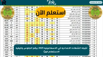 نتيجة الشهادة الإعدادية في الإسماعيلية 2025 برقم الجلوس وكيفية الاستعلام فورًا